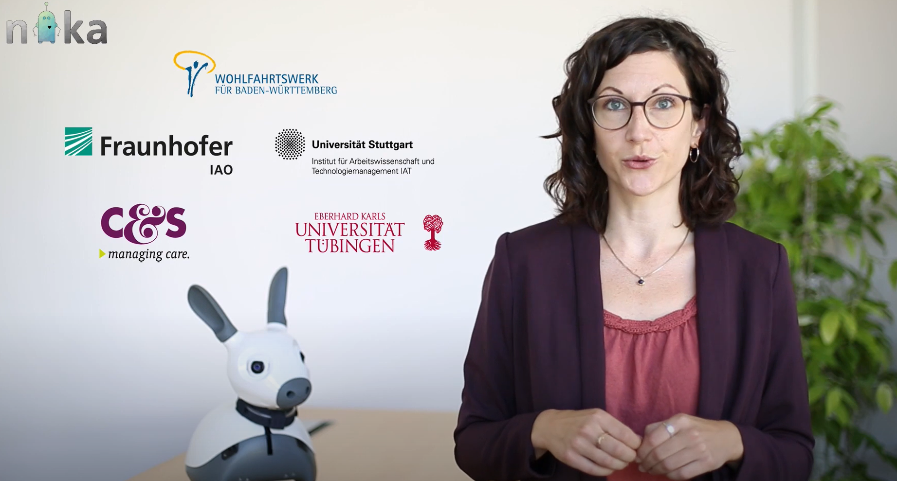 Forschungsprojekt NIKA-Video